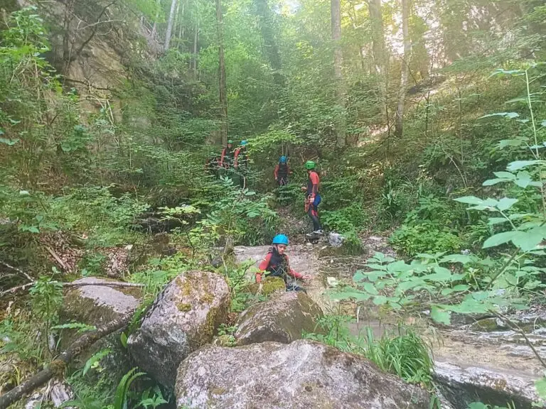 Progression dans la végétation sauvage entre les obstacles dans le Canyon du Rio Sourd, situé dans la région du Diois, Drôme